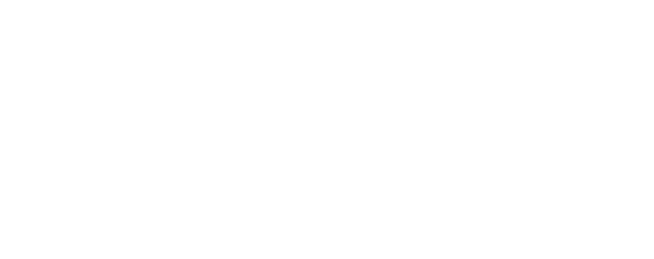 BAMX Properties